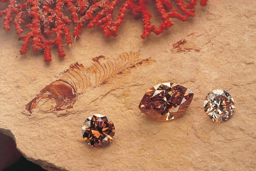 Three large brown and clear diamonds on a bed of sand near red coral and a fish fossil.