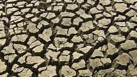 Dry cracked land, the result of drought.