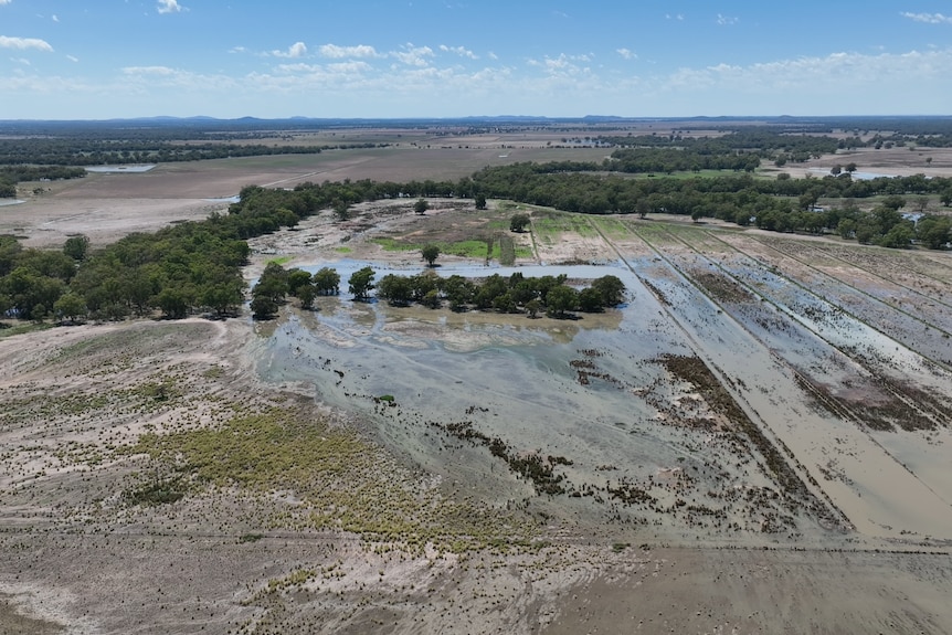 Drone shot of flooded cropping paddocks .
