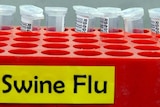 There are 53 confirmed cases of swine flu in Queensland.