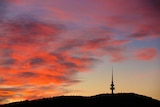 Black Mountain and Telstra Tower silhouetted against the sunset.