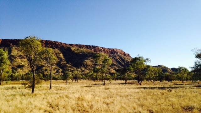 Mount Gillen