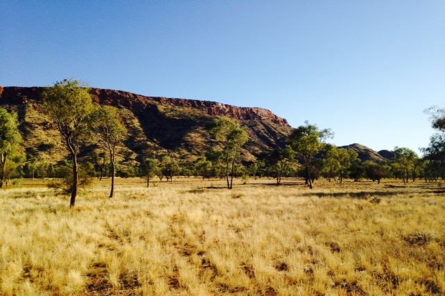 Mount Gillen