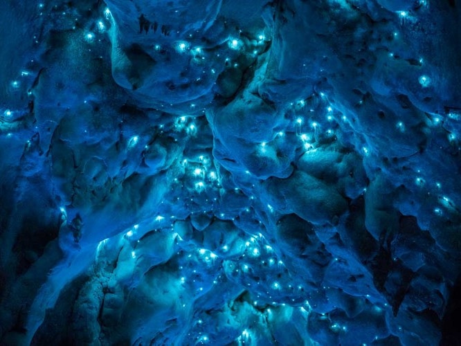 Glow worms in caves in New Zealand