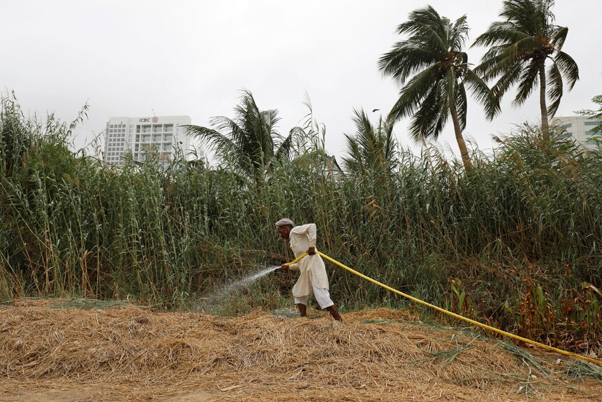 Un homme sud-asiatique en salopette blanche tient un tuyau pendant qu'il arrose des plantes hautes avec des constructions de ville derrière