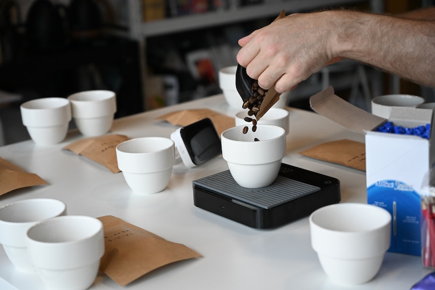 Coffee beans being poured into a white cup from a paper bag.