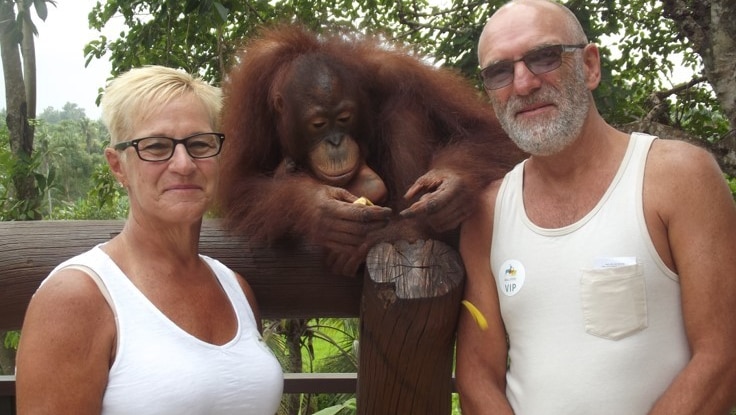 Kathy and Trent Ferrier standing with an orang utan