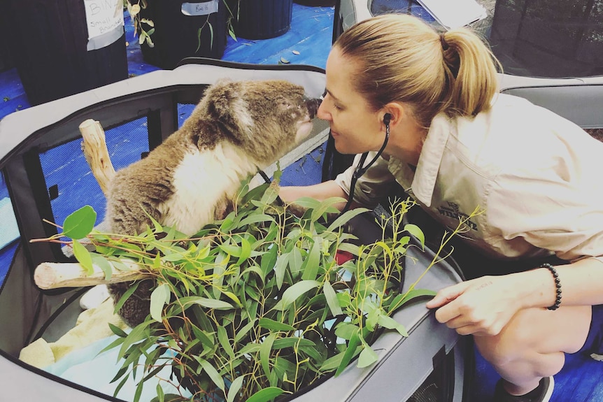 woman with koala