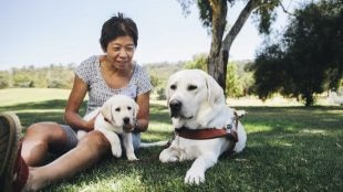 Woman sits on the grass beside a guide dog with a Labrador puppy on her lap