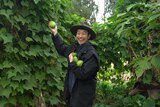 Melbourne-based fruiterer Thanh Truong holding some chokos
