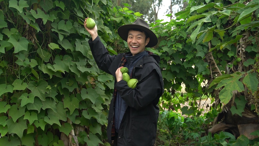 Melbourne-based fruiterer Thanh Truong holding some chokos
