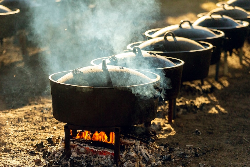 Six camp ovens lined up over a fire at a festival