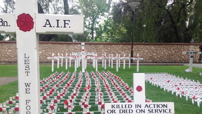 Crosses displayed in North Terrace in Adelaide as part of Remembrance Day