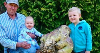 North-East Tasmanian farmer Roger Bignell and his grandchildren with the world's largest turnip.