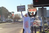 A woman in a cow suit holds signs in Dardanup, Western Australia saying 'paradise over polution' and honk if you agree