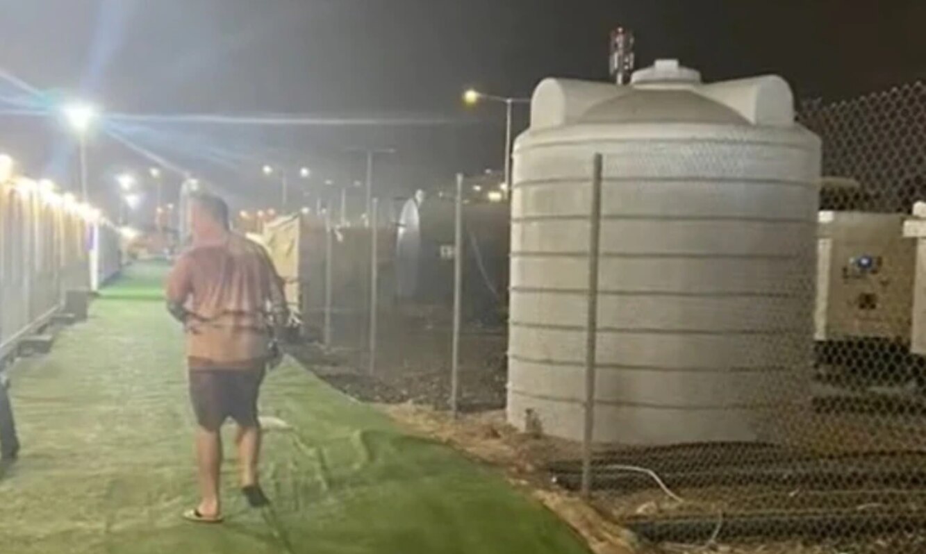 Gecko in chicken egg may be salmonella breakthrough ABC News