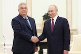 Viktor Oban and Vladimir Putin shake hands in a cream-coloured room.
