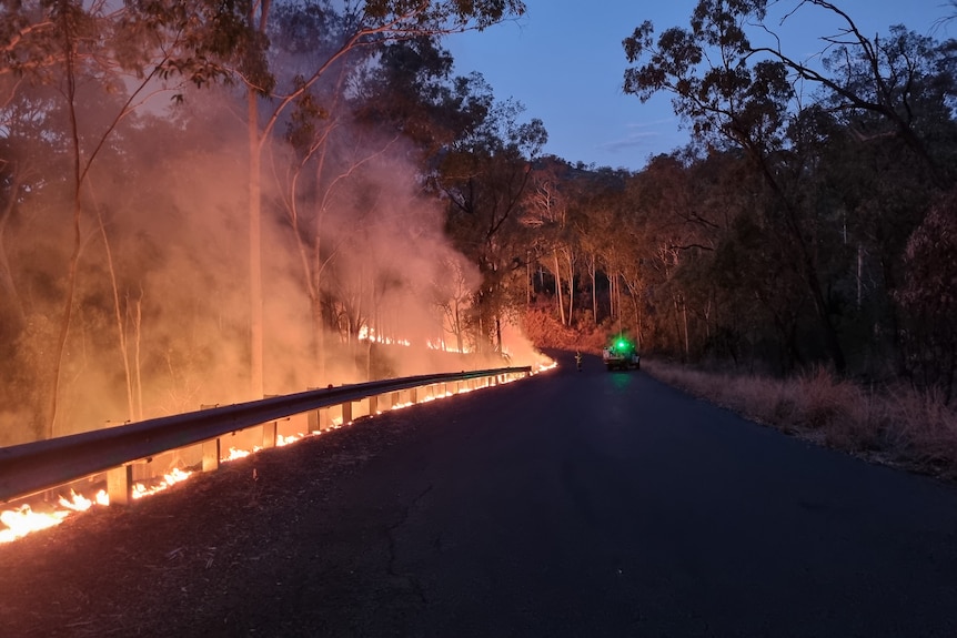 Bushland burning at night by the side of a road 