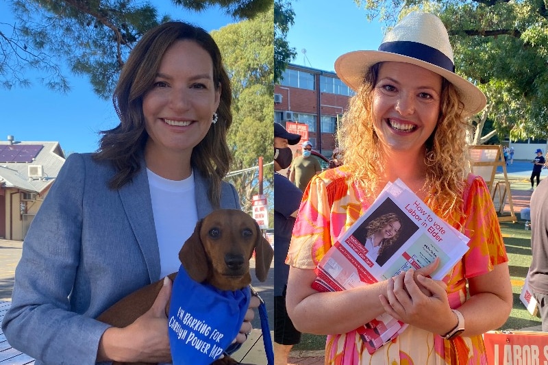 A composite image of a woman holding a dog and a woman with a hat holding a how to vote card