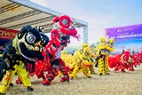 A group of Chinese dancers in lion costumes