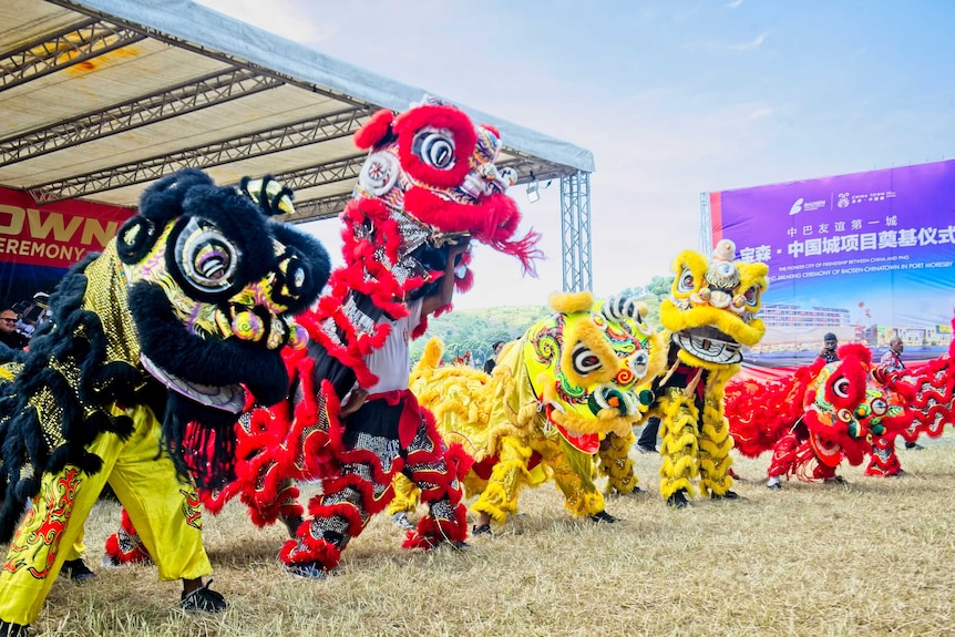 A group of Chinese dancers in lion costumes