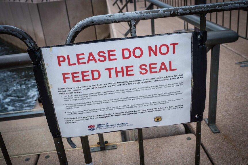 Do not feed the seal sign