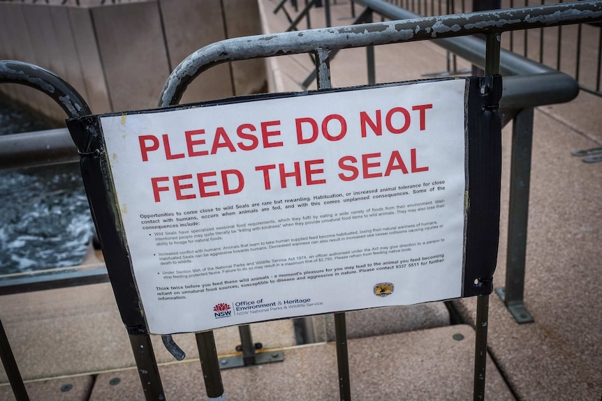 Do not feed the seal sign