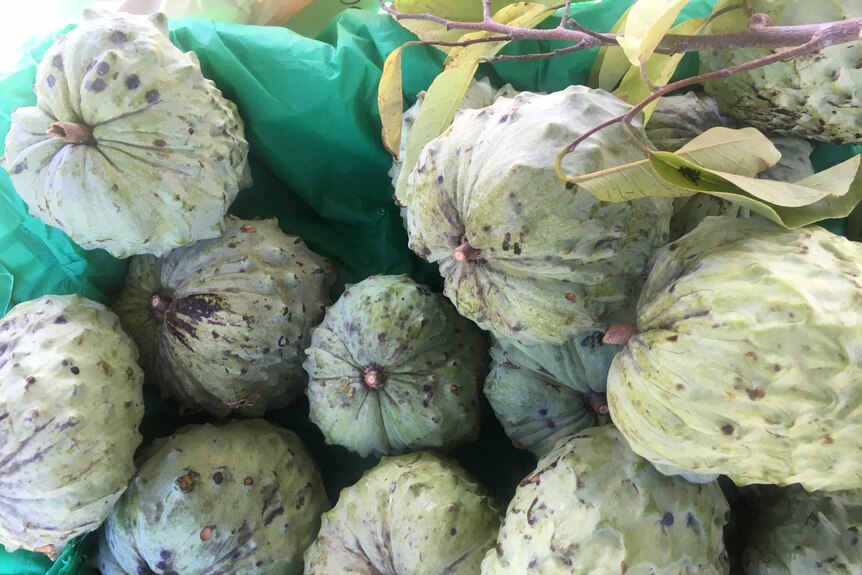 Custard apples at a farmers' market.