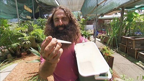 Creative Containers - Gardening Australia