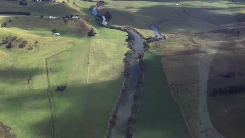 Blue green algae in the Tambo river