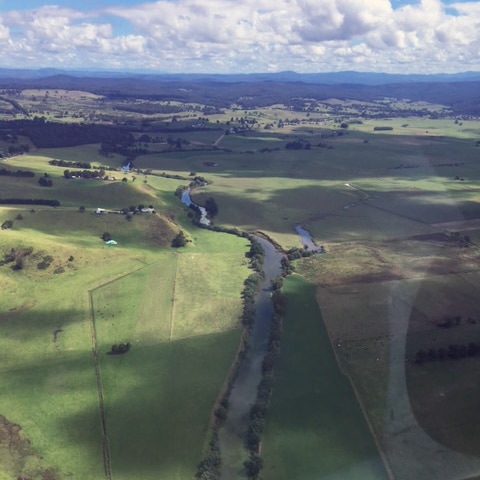 Blue green algae in the Tambo river