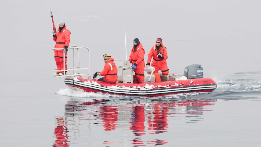 A tagging team scouts for minke whales in Antarctica.