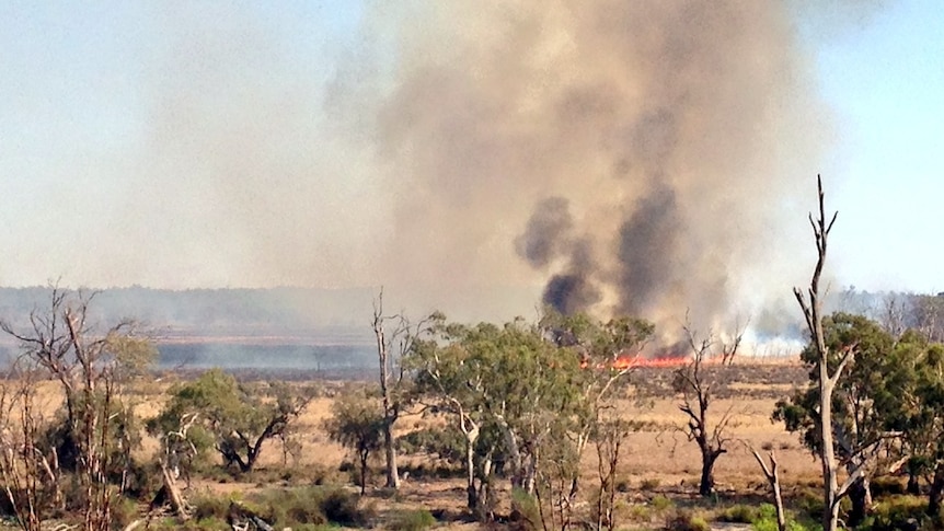 Katarapko bushfire