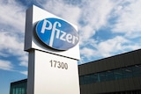 A sign with the Pfizer logo stands outside the corporate headquarters building.