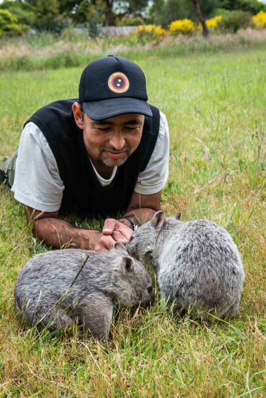 Andry Sculthorpe and wombats