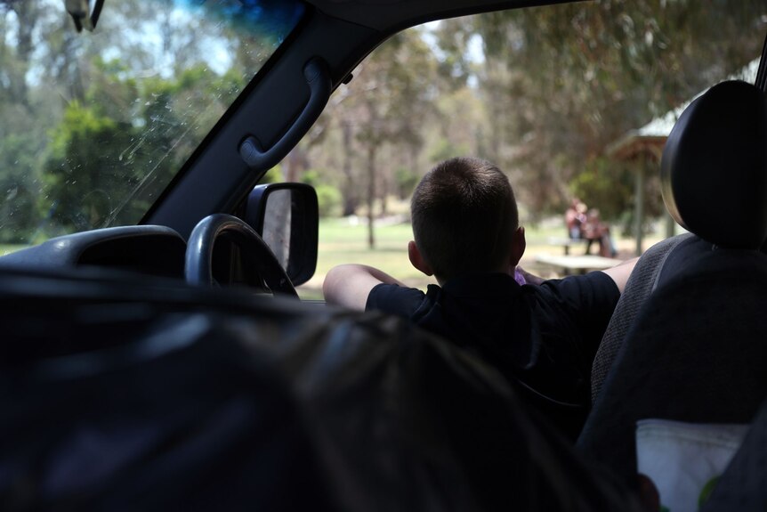 A child looking out the window of a car into a park