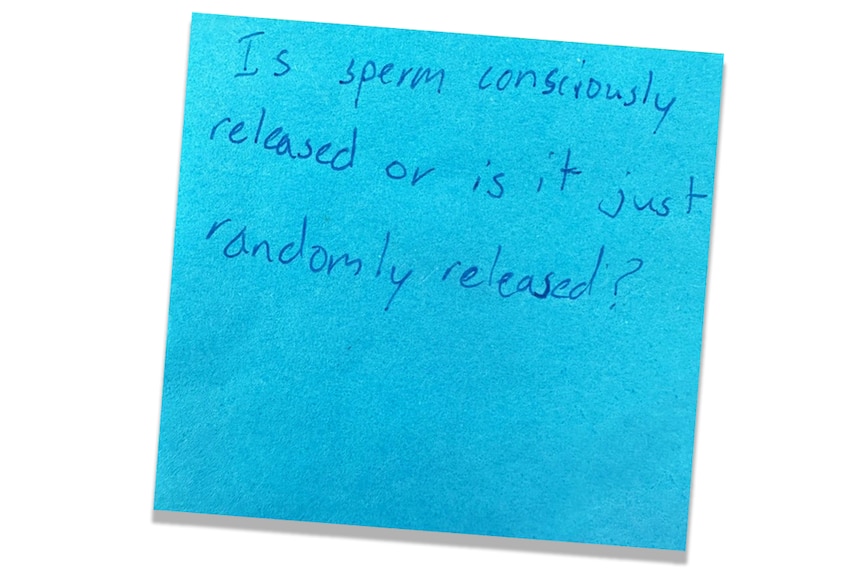 A blue post-it note that reads, in messy handwriting: "Is sperm consciously released or is it just randomly released?"