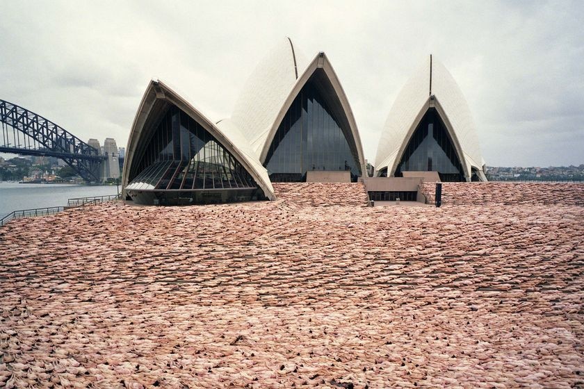 5,000 people from all walks of life cover the Sydney Opera House