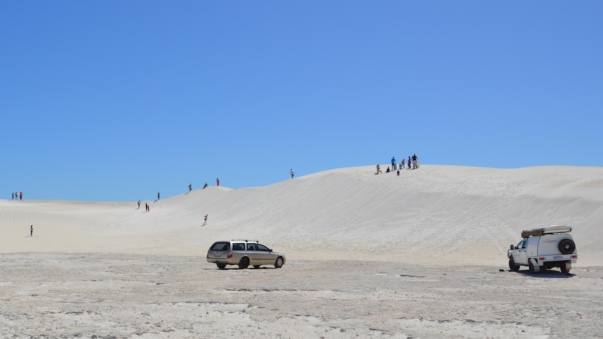 Lancelin sand dune recreation