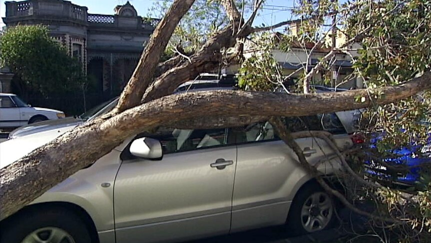 Wind damage causes havoc across Melbourne