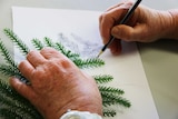 Hands sketching a plant.
