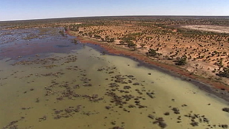 A TV still of the wetlands of the Paroo River in flood - the last free flowing river left in the Mur