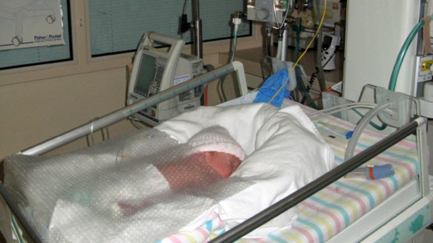 Premature baby lies in a crib in a neonatal unit (generic)