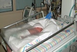 Premature baby lies in a crib in a neonatal unit (generic)