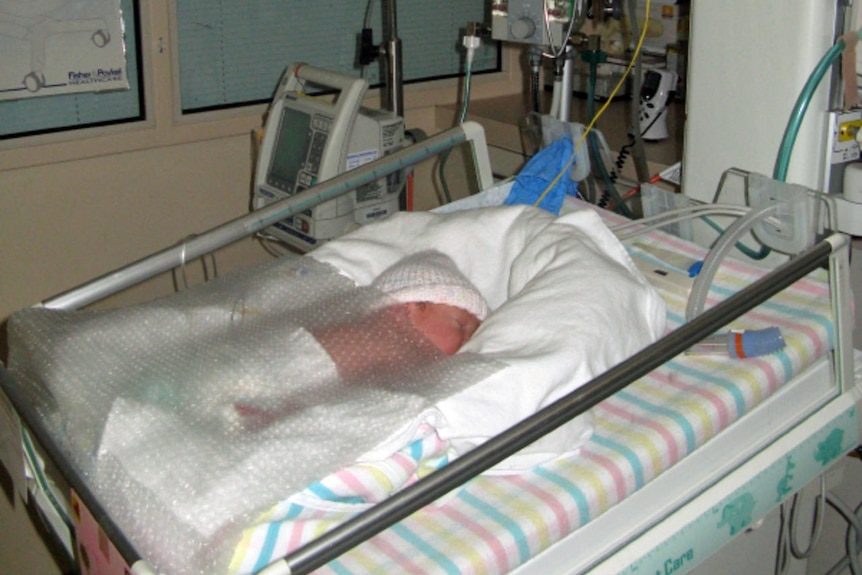 Moderate to late preterm babies at higher risk of developmental delay than previously thought