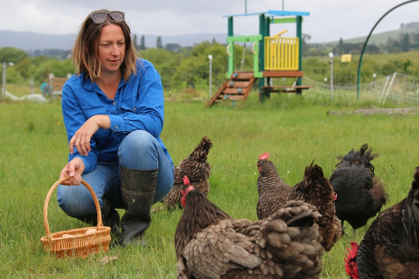 A woman crouches next to a basket full of eggs as she throws feed to a crowd of chickens. 