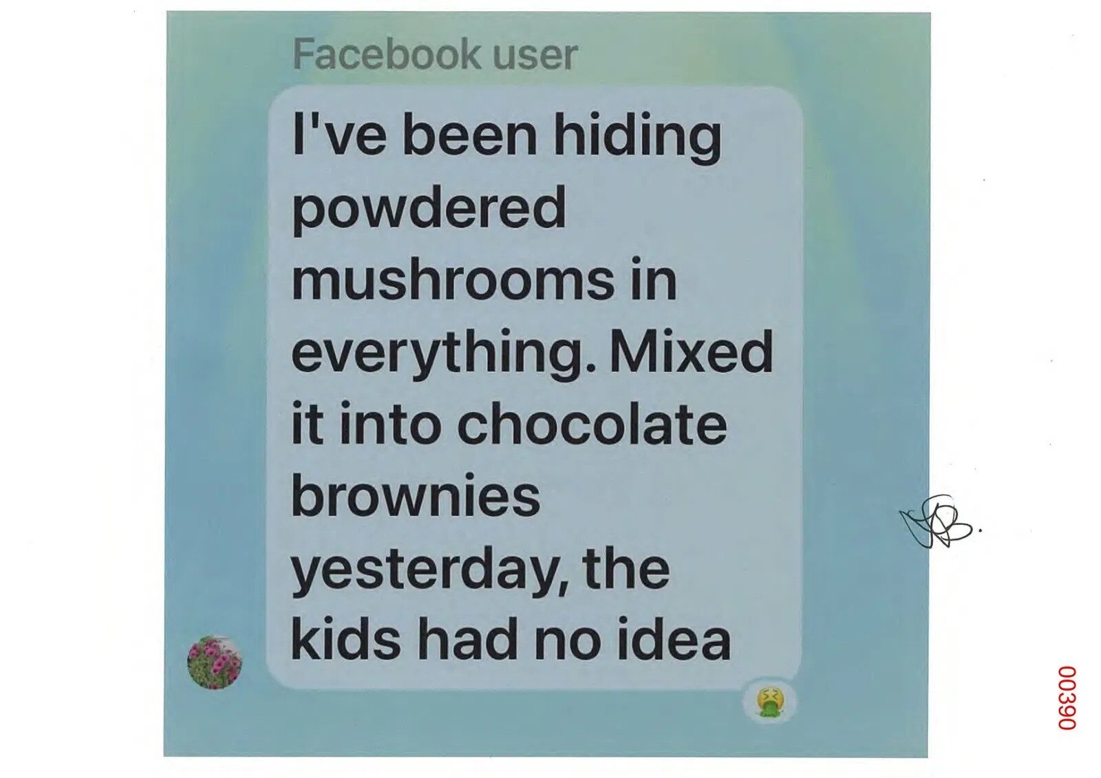 A message Erin sent her friends about adding mushrooms into her childrens' meals.