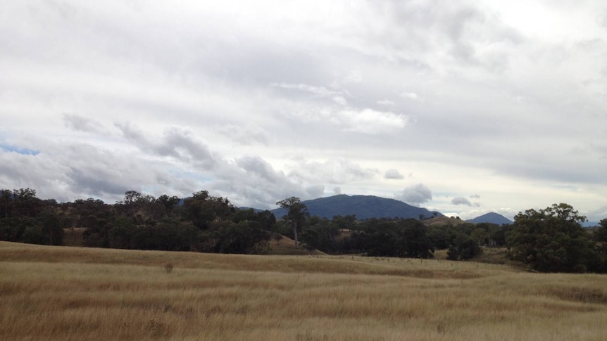 Farming land near Gundy, NSW