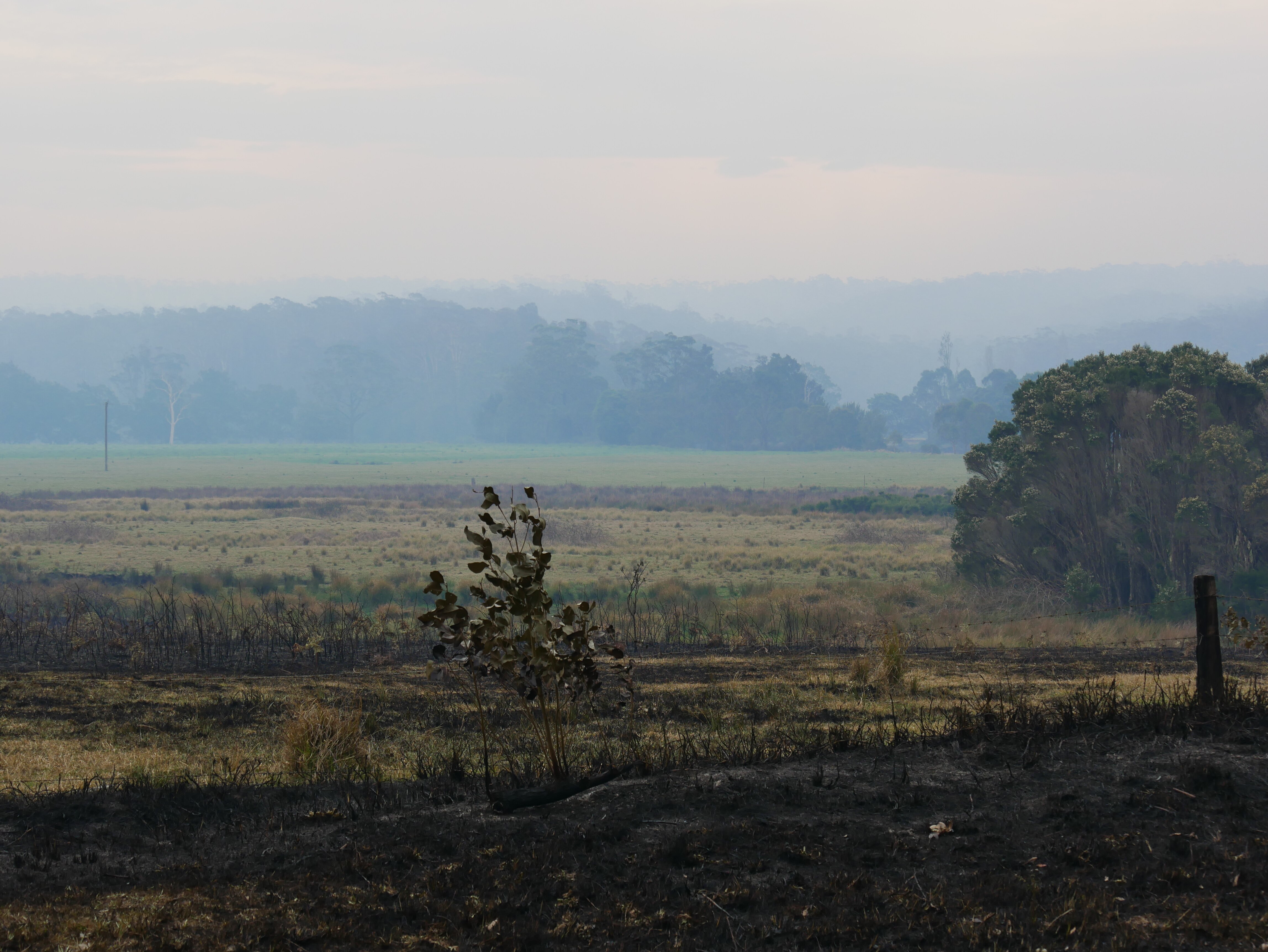 Homes destroyed by bushfire on NSW South Coast - ABC listen