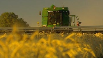 Wheat farmers fear there will be a short-term impact from the suspension.